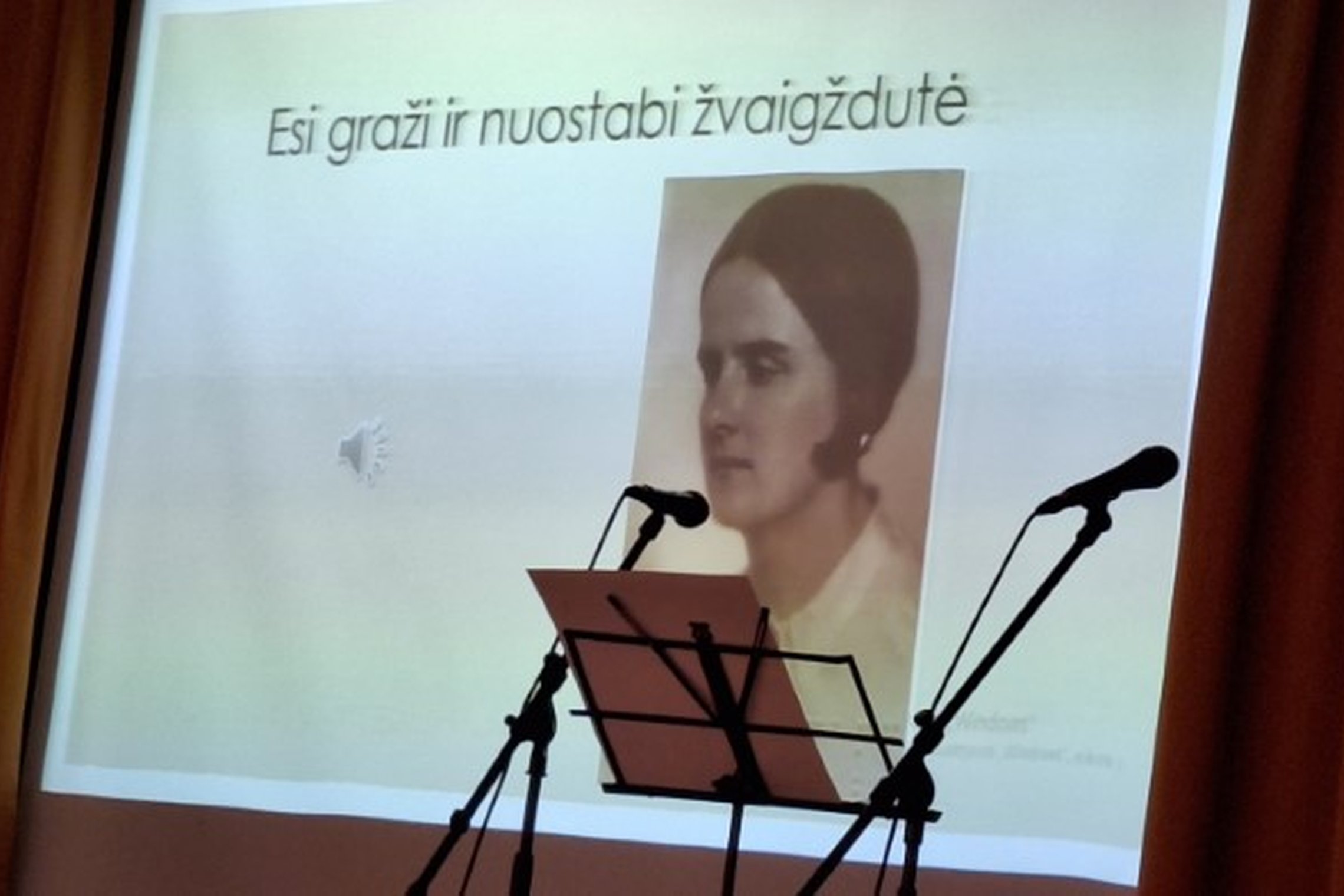 Iliustracija