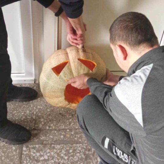 Iliustracija