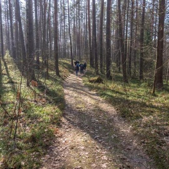 Iliustracija