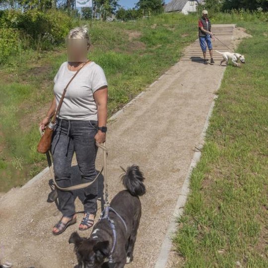 Iliustracija
