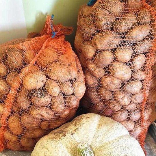 Iliustracija