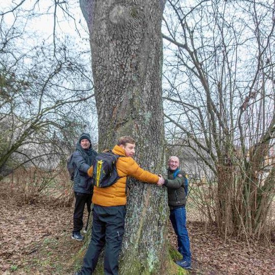 Iliustracija