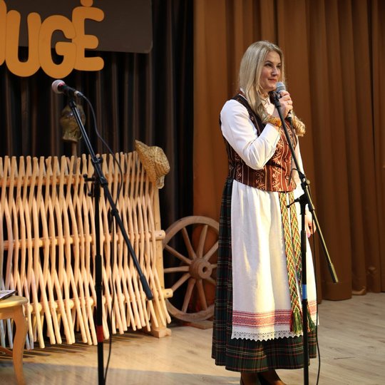 Iliustracija