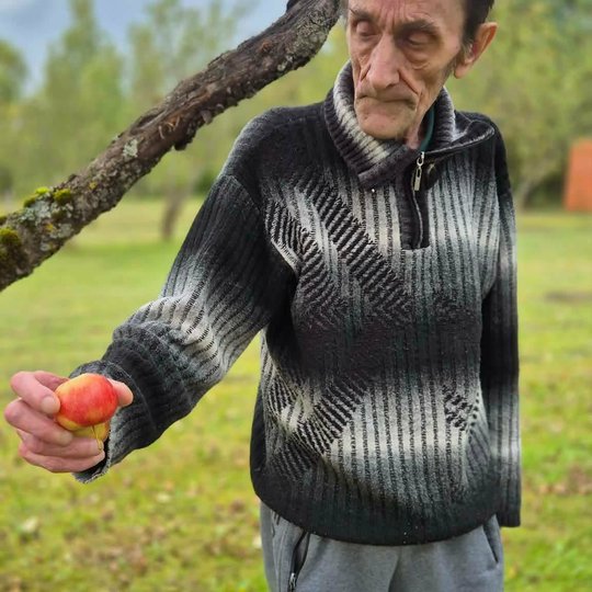 Iliustracija